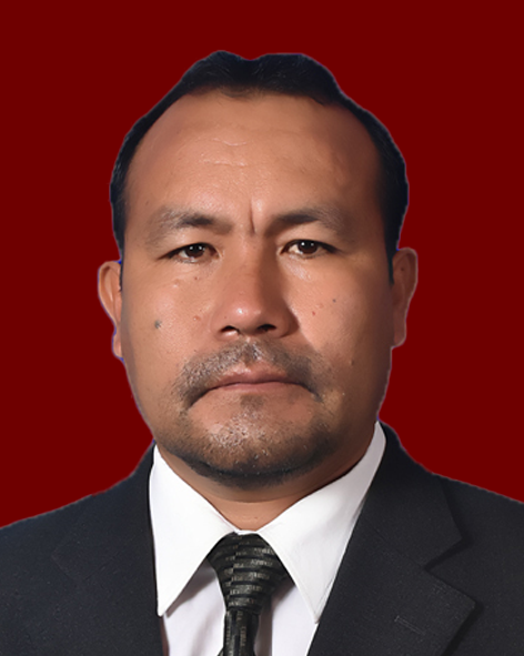Mag. Clever Vallejos Jove